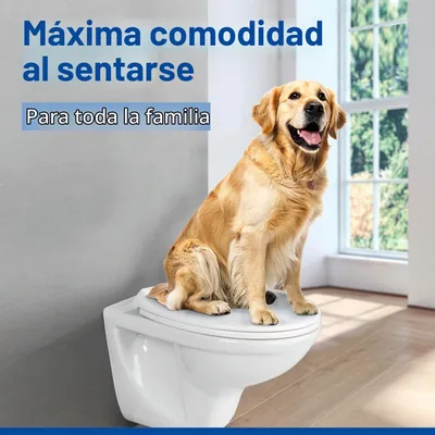 Wenko KOS tapa de WC con descenso automático blanca 37x44 cm – foto 2