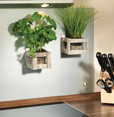 tesa Powerstrips grande hasta 2 kg – foto 2