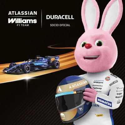 Duracell Plus D 2 pilas alcalinas 1,5V LR20 – foto 3