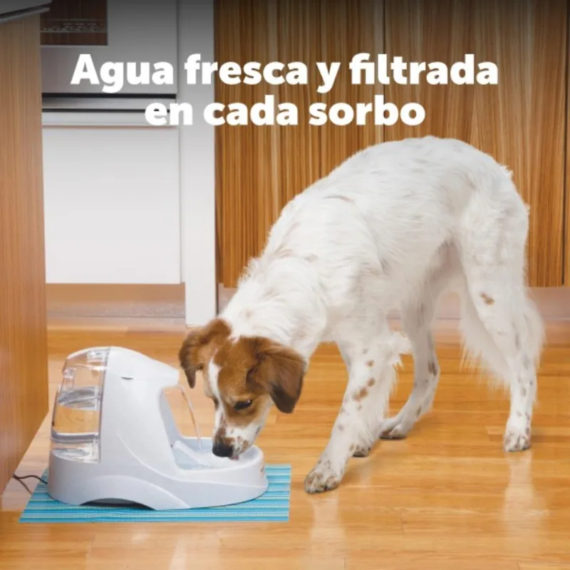 PetSafe Filtros de Carbón de Repuesto Premium para Fuentes de Agua Drinkwell - 1 unidad