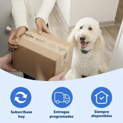 PetSafe Filtros de Carbón de Repuesto Premium para Fuentes de Agua Drinkwell - 1 unidad – foto 3