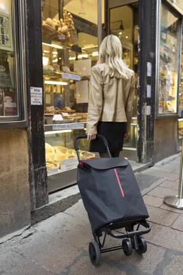 Gimi Twin Urban Carro de la compra azul 50 litros – foto 3