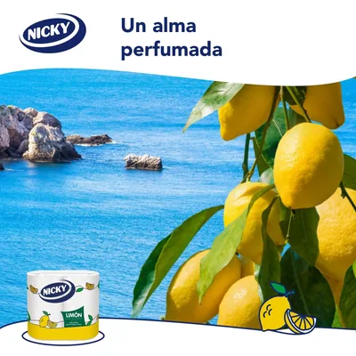Nicky Papel de cocina limón, 2 rollos, 2 capas – foto 2