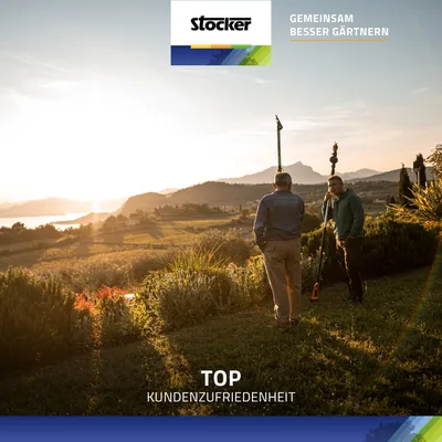 Stocker Sierra semiprofesional Maestral 250 – foto 5
