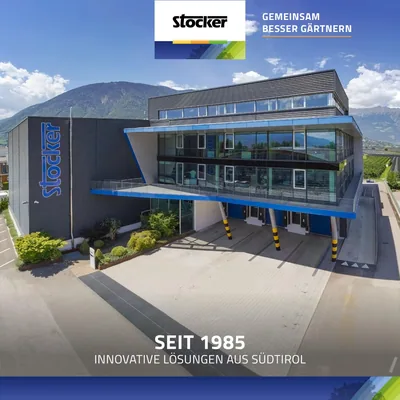 Stocker Sierra semiprofesional Maestral 250 – foto 6