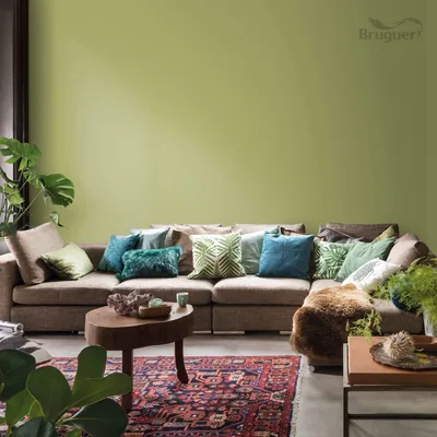 Bruguer Colores del Mundo Amazonas verde natural 4 l – foto 3