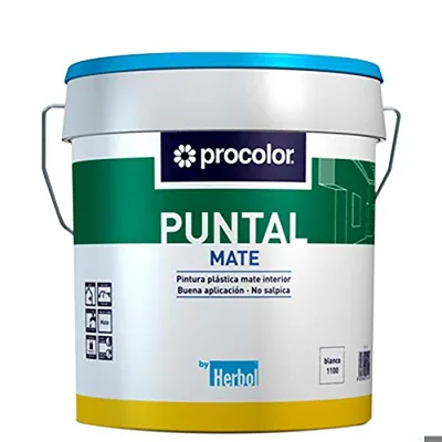 Procolor pintura plástica mate Puntal 4 L