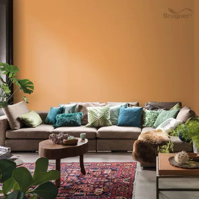 Bruguer Colores del Mundo India melocotón natural 4 l – foto 3