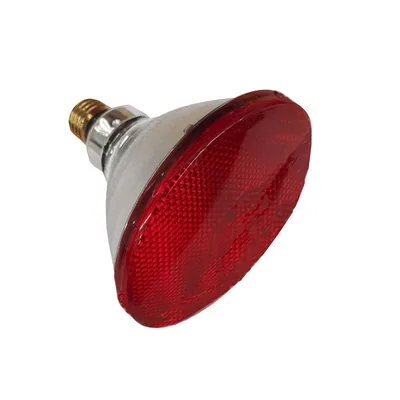 Philips 60052315 lámpara reflectora de infrarrojos 100W E27