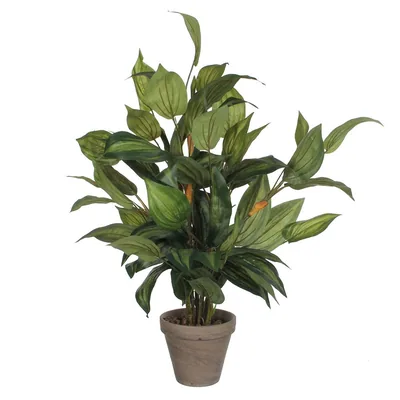 EDM hosta verde PVC en maceta gris