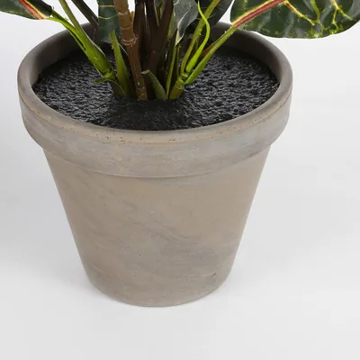 Mica Decorations Decorations Croton verde de PVC con maceta gris – foto 1