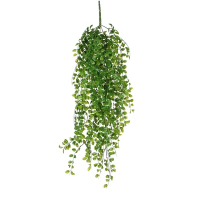 Mica Decorations Decorations Ficus colgante verde 81cm