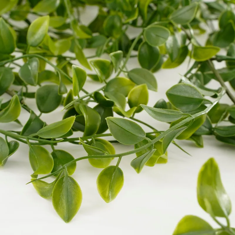Mica Decorations Decorations Ficus colgante verde 81cm