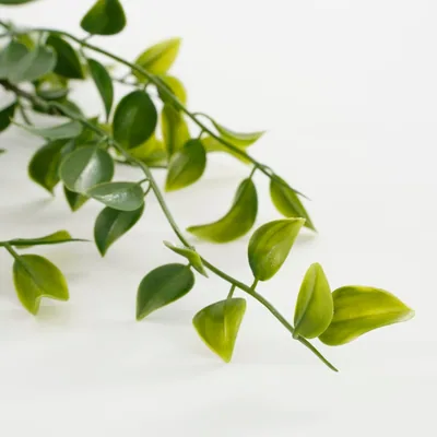 Mica Decorations Decorations Ficus colgante verde 81cm – foto 2