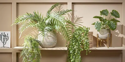 Mica Decorations Decorations Ficus colgante verde 81cm – foto 5
