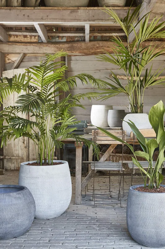 Mica Decorations Decorations Planta artificial palmera areca con maceta Ø80x160cm