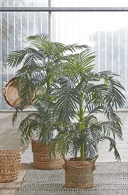 Mica Decorations Decorations Planta artificial palmera areca con maceta Ø80x160cm – foto 6