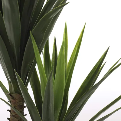 Mica Decorations Yucca de PVC con maceta 120x60cm – foto 5