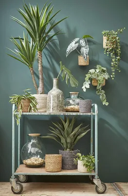 Mica Decorations Yucca de PVC con maceta 120x60cm – foto 1