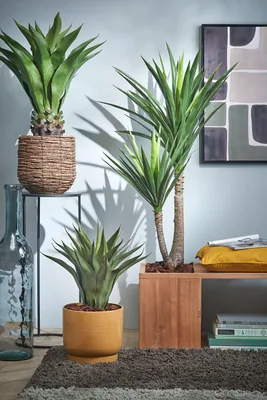 Mica Decorations Yucca de PVC con maceta 120x60cm – foto 3