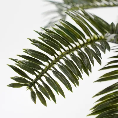 Mica Decorations Decorations Palmera Sago Cyca Revoluta de PVC con maceta gris 33x11,5cm – foto 5