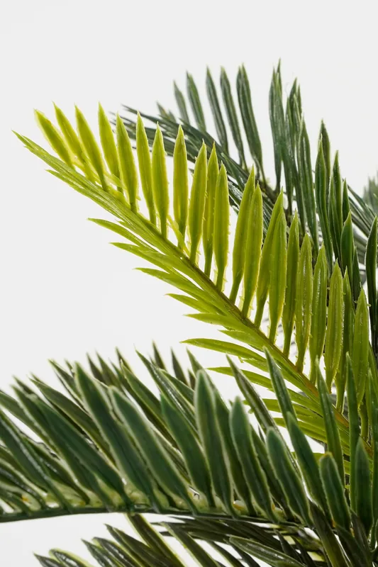 Mica Decorations Decorations Palmera Sago Cyca Revoluta de PVC con maceta gris 33x11,5cm