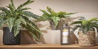 Mica Decorations Decorations Palmera Sago Cyca Revoluta de PVC con maceta gris 33x11,5cm – foto 3