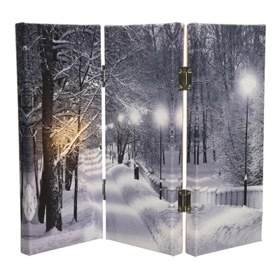  Cuadro plegable con LED, 2,8x48x38 cm, 8 leds – foto 2